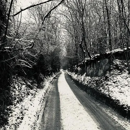 Сasa de vacaciones Hide *