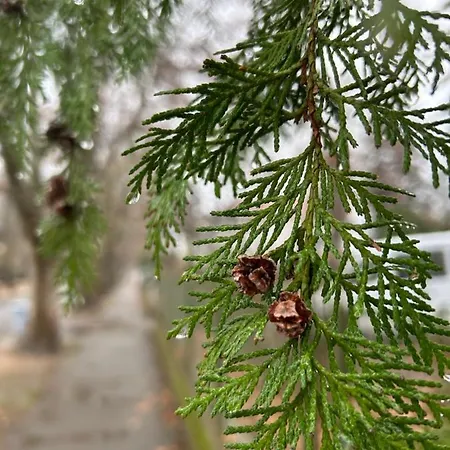 Сasa de vacaciones Hide