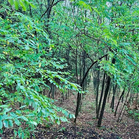 Сasa de vacaciones Hide