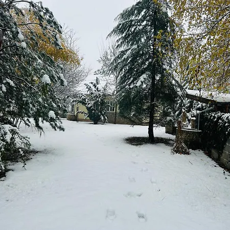 Hide Siófok