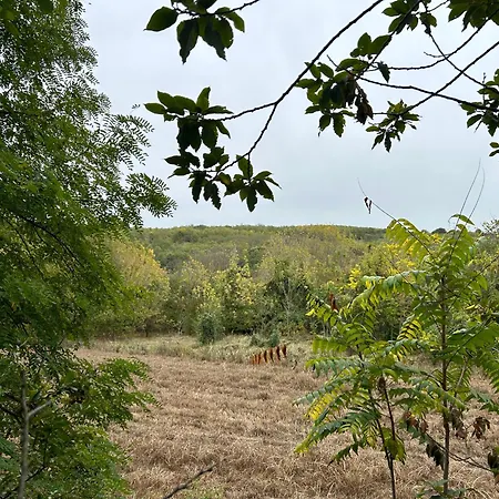 Hide Feriehus Siófok