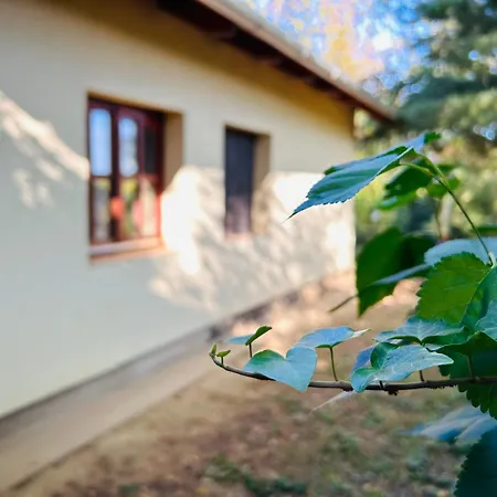 Hide Siófok