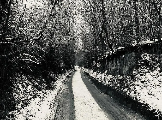 בית נופש Hide *