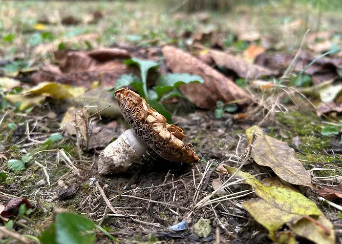 Hide בית נופש *