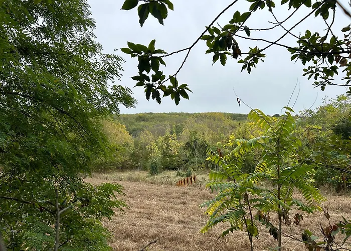 Hide בית נופש שיופוק